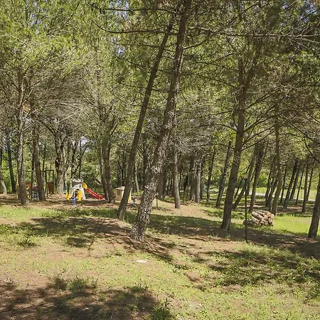La Sorgente Holiday home